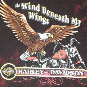 Harley Davidson Wind Beneath My My Wings Vintage